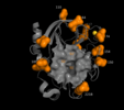 Enzyme Design